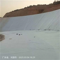 江西环保用GH-2S土工膜延伸率高 尾矿坝加固