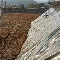 潮安石油化工储罐围堰1.2厚美标HDPE膜 全新料土工膜