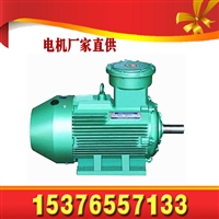 防爆电动机YBK3-160M2-8-5.5KW三相异步电动机