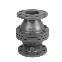 进口微压止回阀 逆止阀 美国RETZ瑞茨