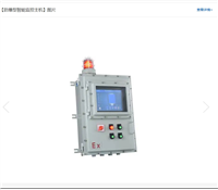 防爆型智能监控主机