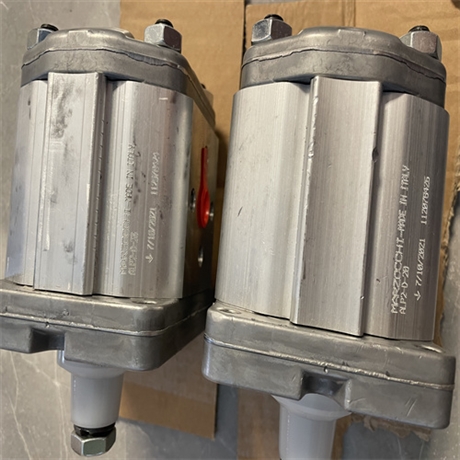 MARZOCCHI马祖奇齿轮泵ALP1A-D-6-FG