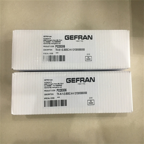 GEFRAN杰弗伦压力传感器质保一年