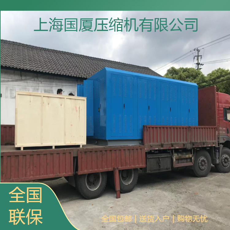 500公斤呼吸器充气泵厂家