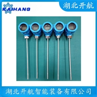 WZPK-423   双支端面热电阻   开航