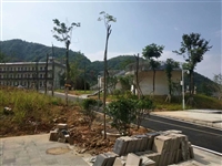 智能浓缩脱水机  钻井污泥脱水机租赁