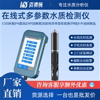 在线多参数水质检测仪 参数自由定制超限自动报警 余氯浊度分析仪