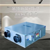 新风系统新风换气机厂家  中央新风系统