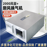 新风系统厂家  普雷蒂新风系统厂家大风量