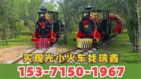 休闲农业农村轨道小火车