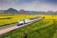 休闲农业森林里的小火车