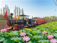 休闲农业景区观光有轨小火车