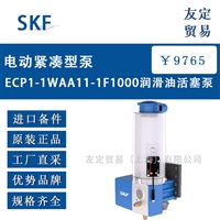 瑞典SKF电动紧凑型泵ECP1-1WAA11-1F1000润滑油活塞泵