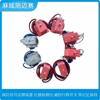 执行机构位置反馈开关FWFK-ZC-KG 阀位行程开关 磁性开关