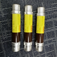 SIBA工业卡车保险丝9005805.200 DC80V