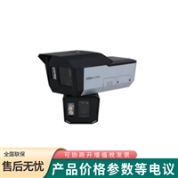 大华 云台mini星舰400万全景双光摄像机DH-IPC-MFW8449XS-ZRL-4E2