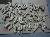 越南商品检验    第三方验货公司  生姜检验  抽样检查