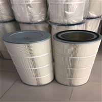 ZKG1200自洁式空气滤筒