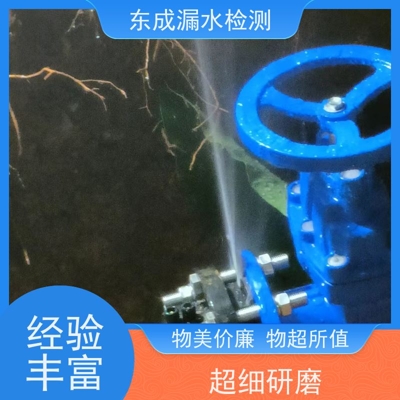肇庆 自来水暗漏检测 仪器检漏水+维修 解决漏水无忧愁