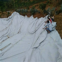 天津二布一膜500克(150/0.2/150)鱼养殖塘夹层PE复合膜