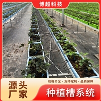 支架式无土栽培 镀锌支架种植槽 番茄种植槽