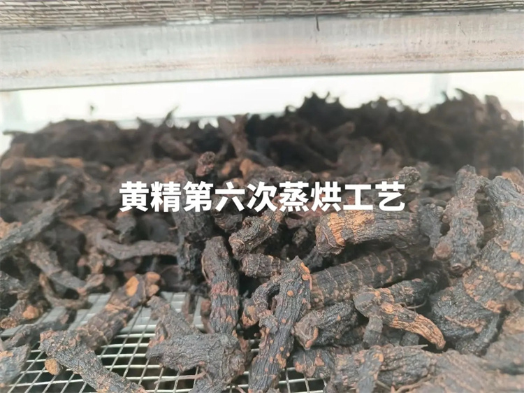 工业用山茶籽烘干机 健康安全耐用 多功能烘干选择