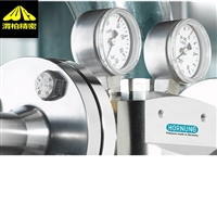 德国Hornung双级减压阀 hornung气体纯度高达 6.0