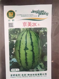安康西瓜苗2k礼品型 京美2k嫁接西瓜苗批发