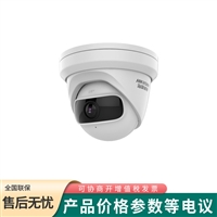 海康威视DS-2CD2346P1-I 智能检测400万海螺型广角网络摄像机