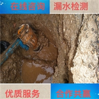 日喀则市水司漏损控制一次多少钱