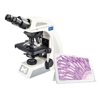 正置生物实验显微镜NE610