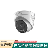海康威视DS-2CD2346FWDA4-LS 警戒型400万智能海螺网络摄像机