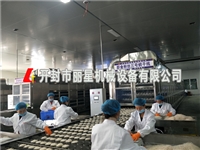 丽星酸辣粉粉饼加工设备 方便速食圈粉生产线  涂布铺浆工艺免蒸煮