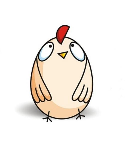 罗曼灰青年鸡产地直发 常盛禽业罗曼灰青年鸡品质保证