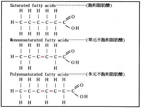 甘油酸结构式图片