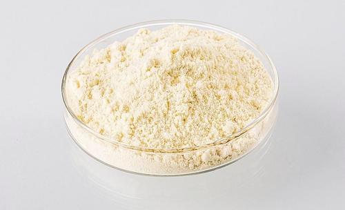 白酒黄酒发酵生产用酸性蛋白酶