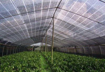农业温室设施电动遮阳系统